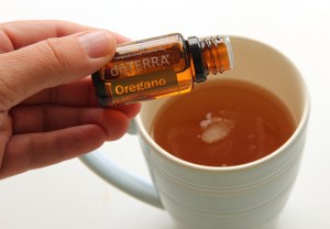 oregano essensiell olje i te